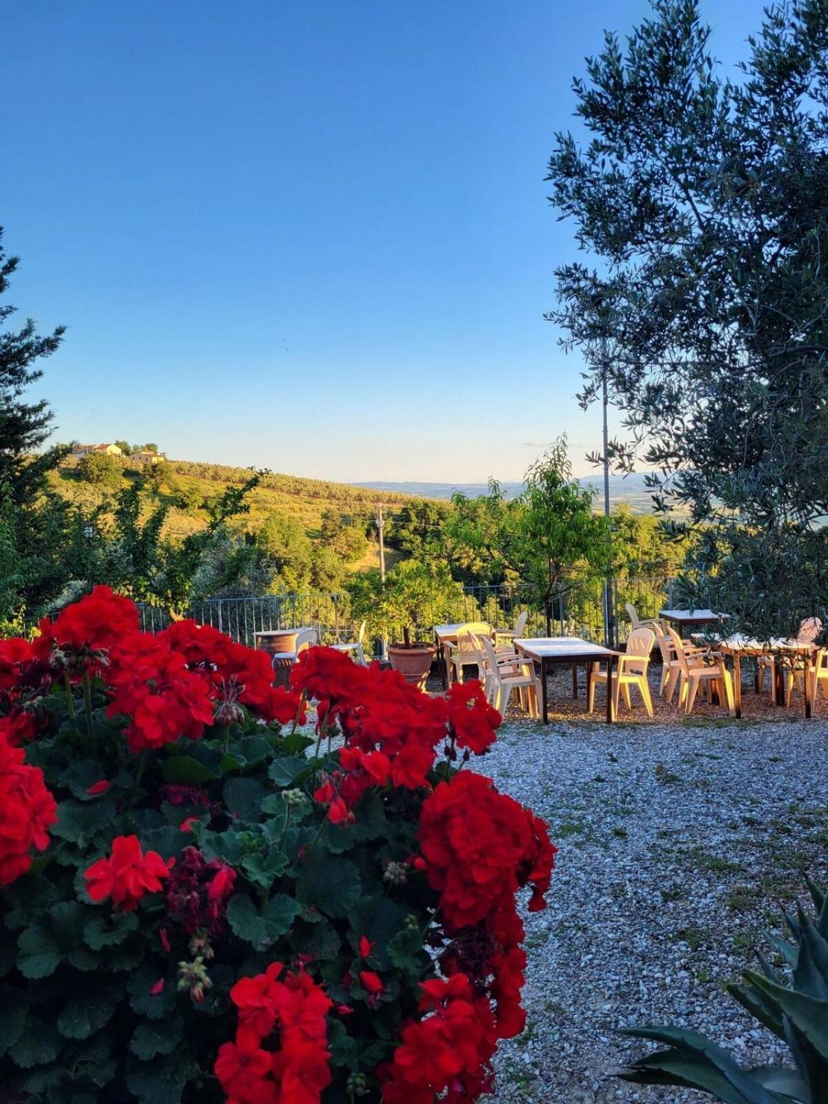 Agriturismo La Gioconda Vinci Exteriér fotografie
