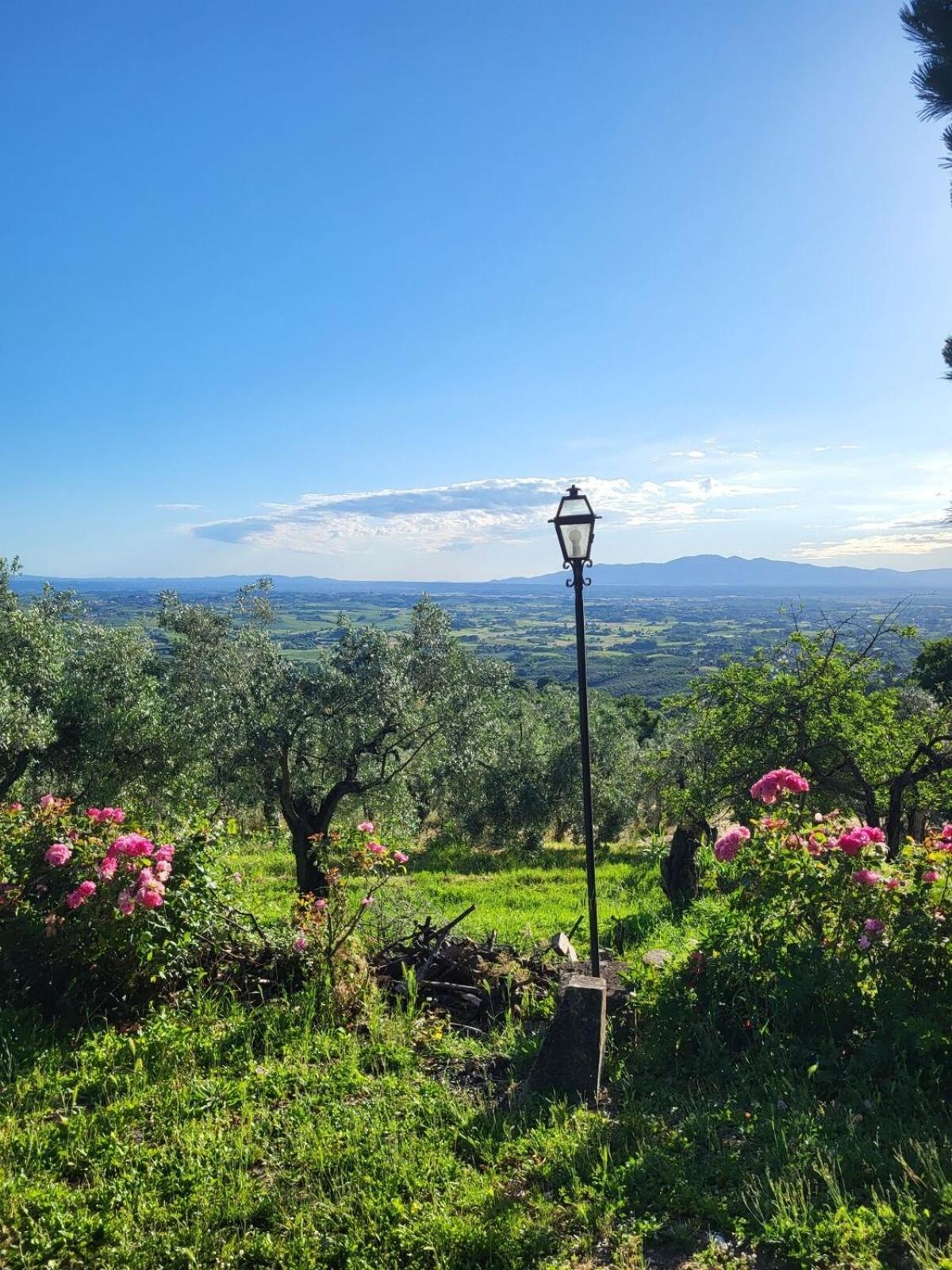 Agriturismo La Gioconda Vinci Exteriér fotografie